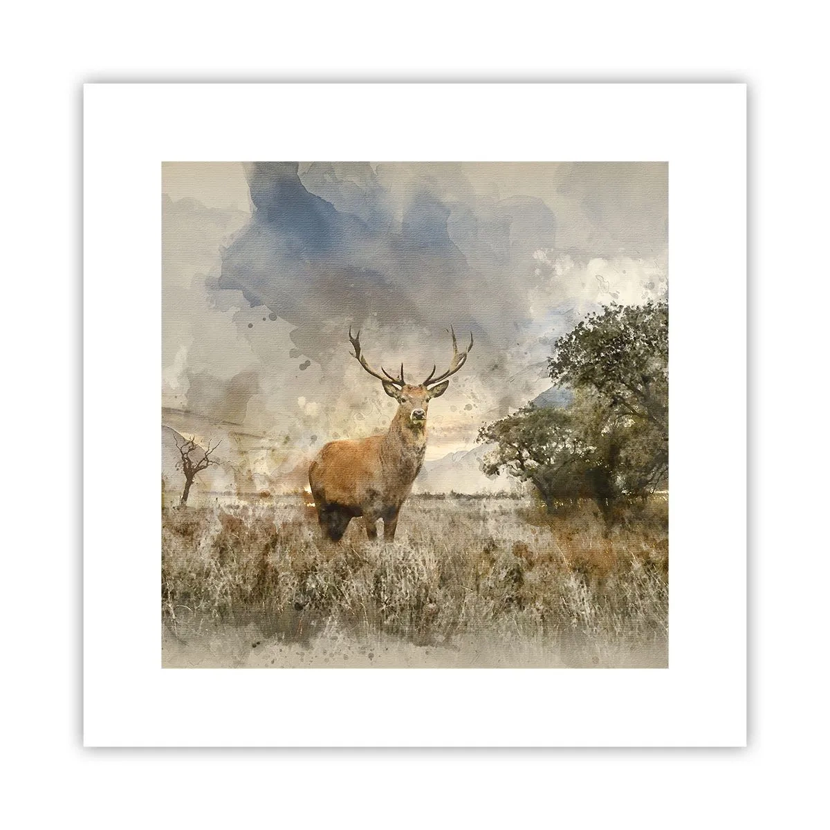 Poster - Waardigheid - kracht - waardigheid - 30x30 cm