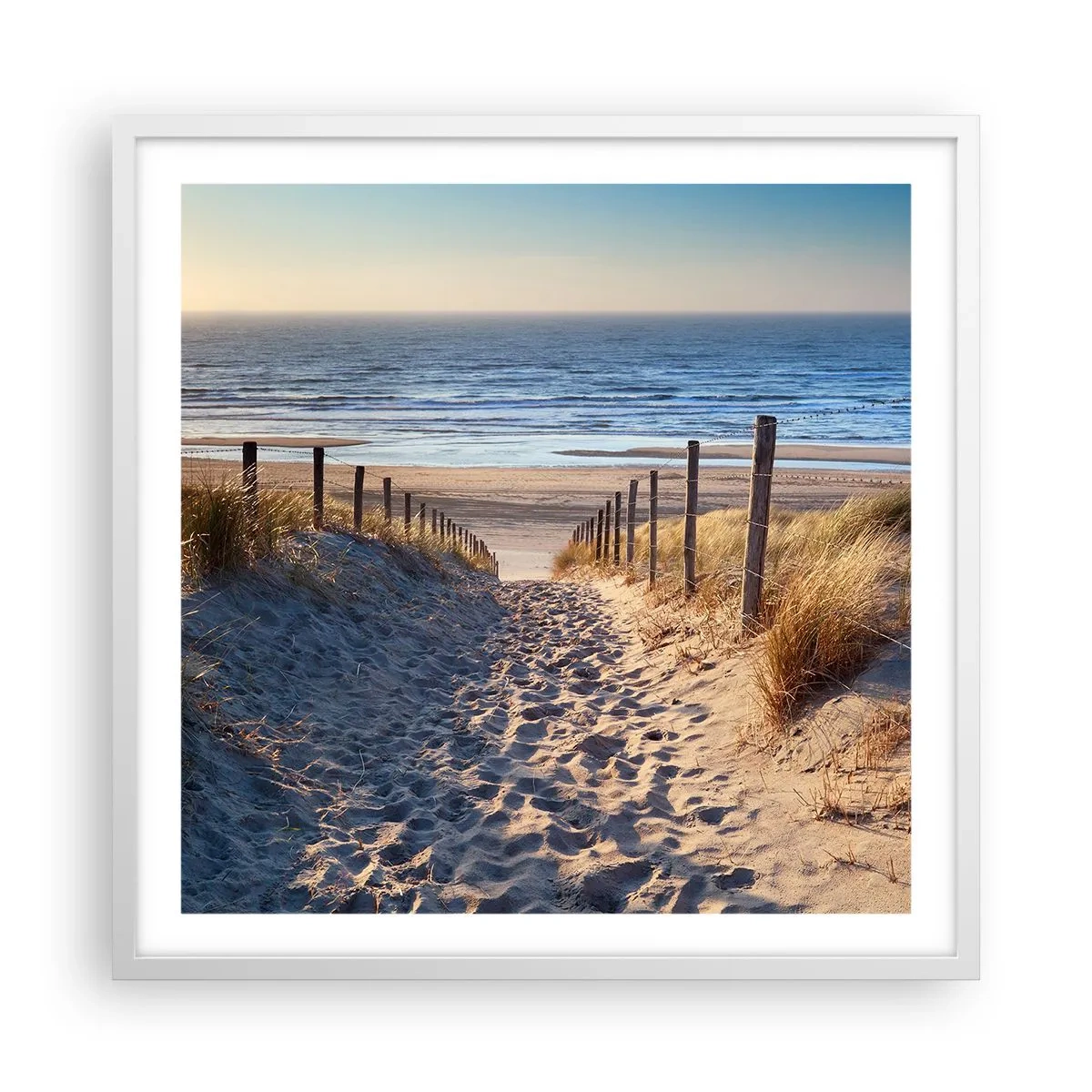 Poster in een witte lijst - Het geluid van de zee, het zingen van vogels, een wild strand tussen het gras... - 60x60 cm