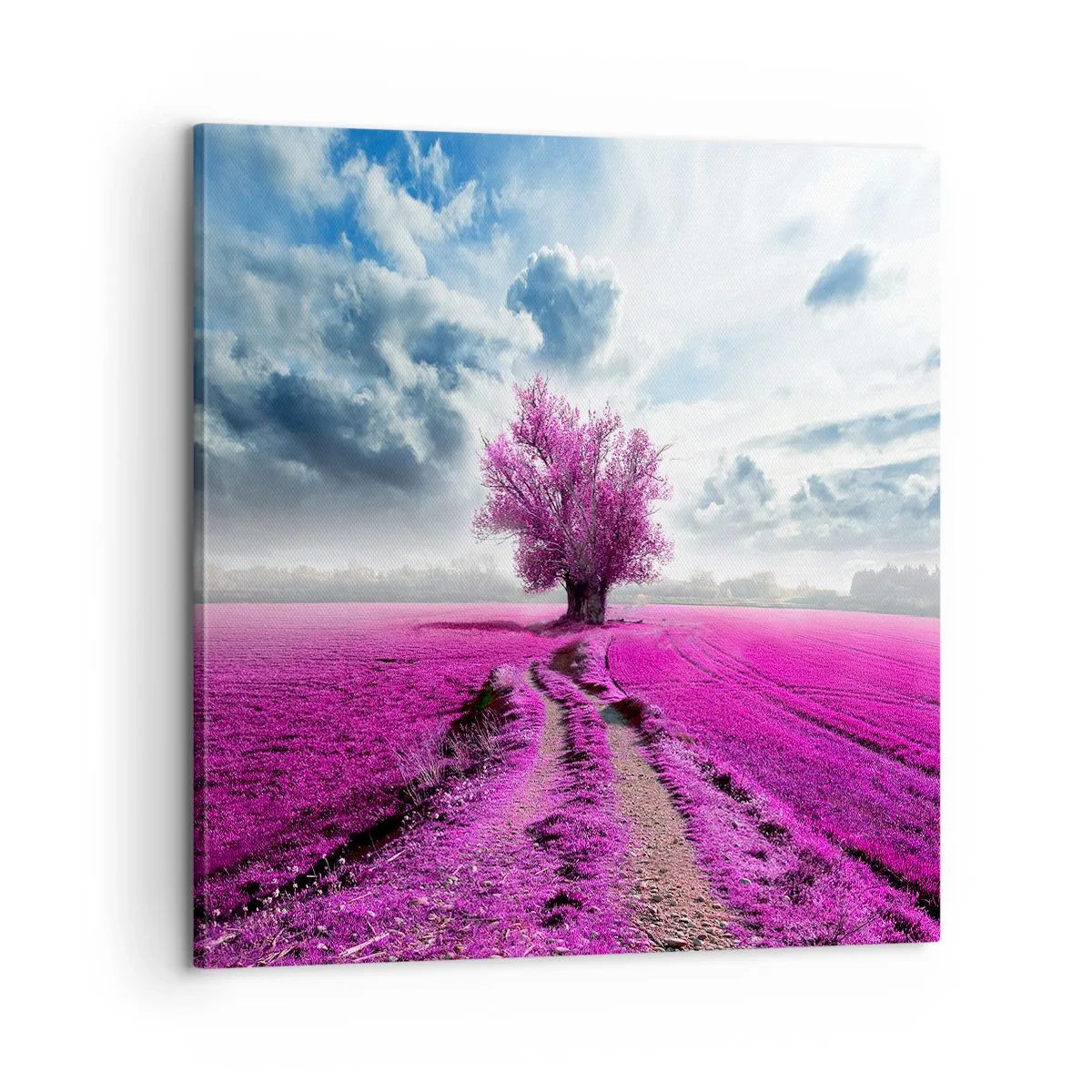 Schilderen op canvas - Heide - heilige plek - 60x60 cm