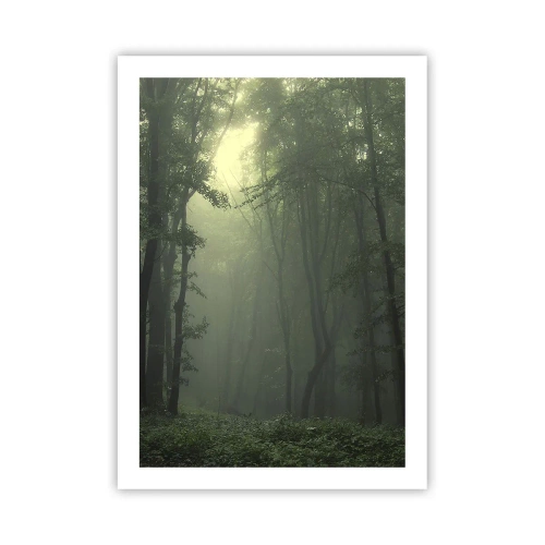 Poster - Voordat hij wakker wordt - 50x70 cm