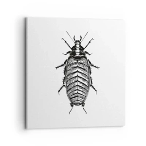 Schilderen op canvas - Wat een exemplaar! - 70x70 cm