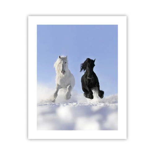 Poster - Zwart-wit galop - 40x50 cm