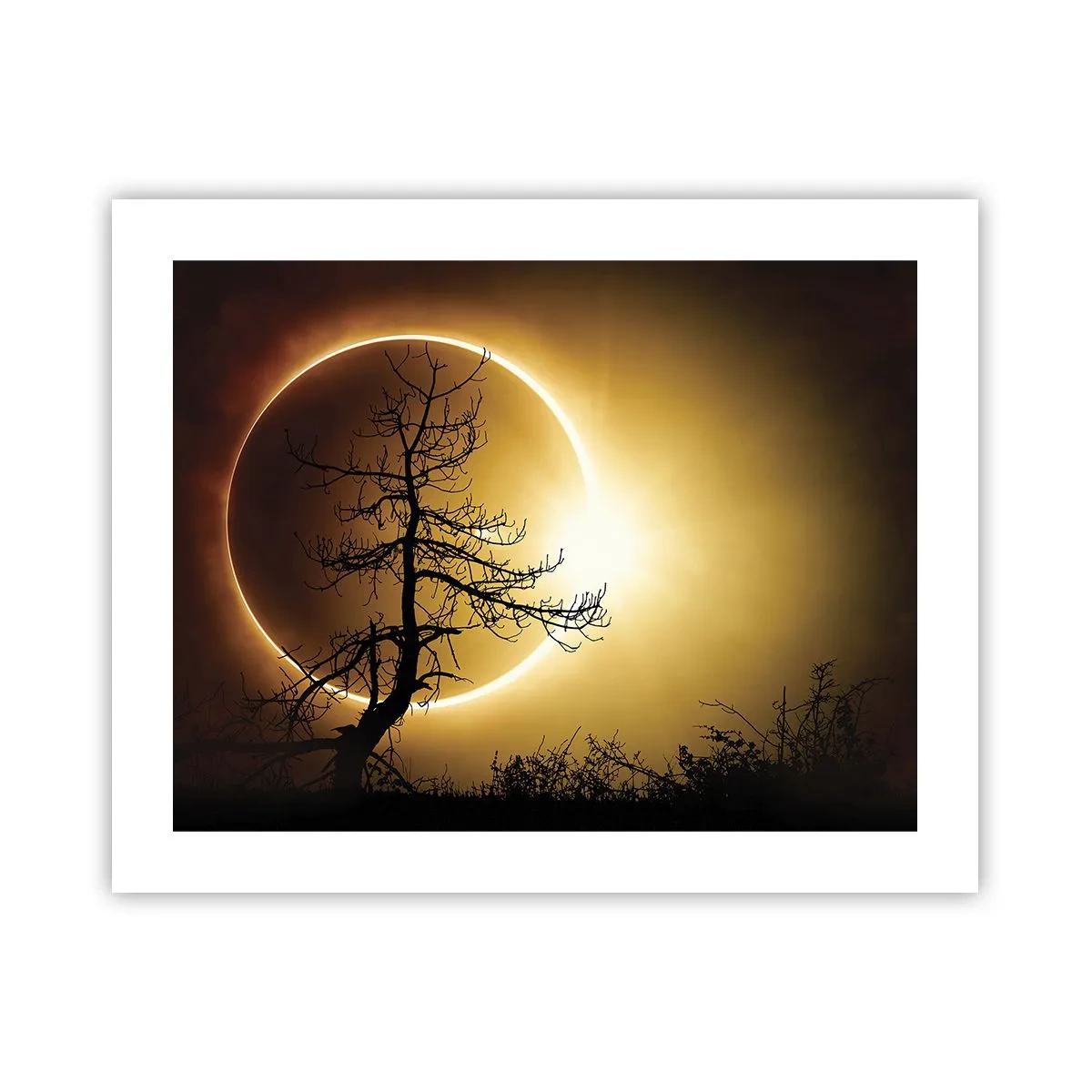 Poster - Totale zonsverduistering - 50x40 cm
