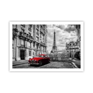 Poster - Roofdier in de stad - 91x61 cm