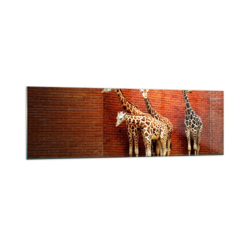 Schilderen op glas - Zie je acacia? - 160x50 cm