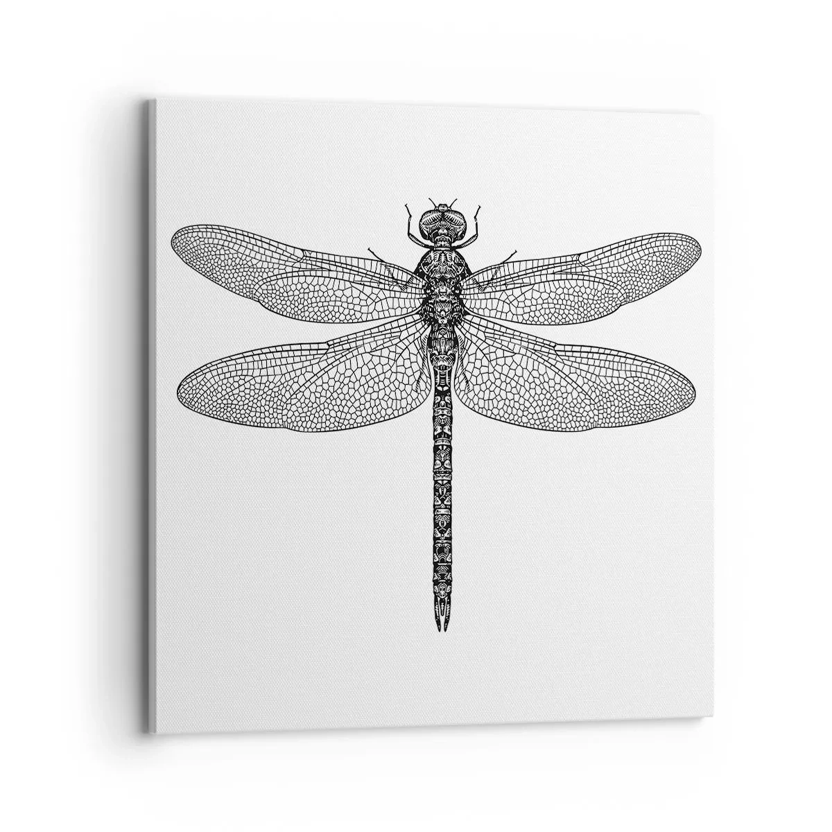 Schilderen op canvas - Precisie van de natuur - 70x70 cm