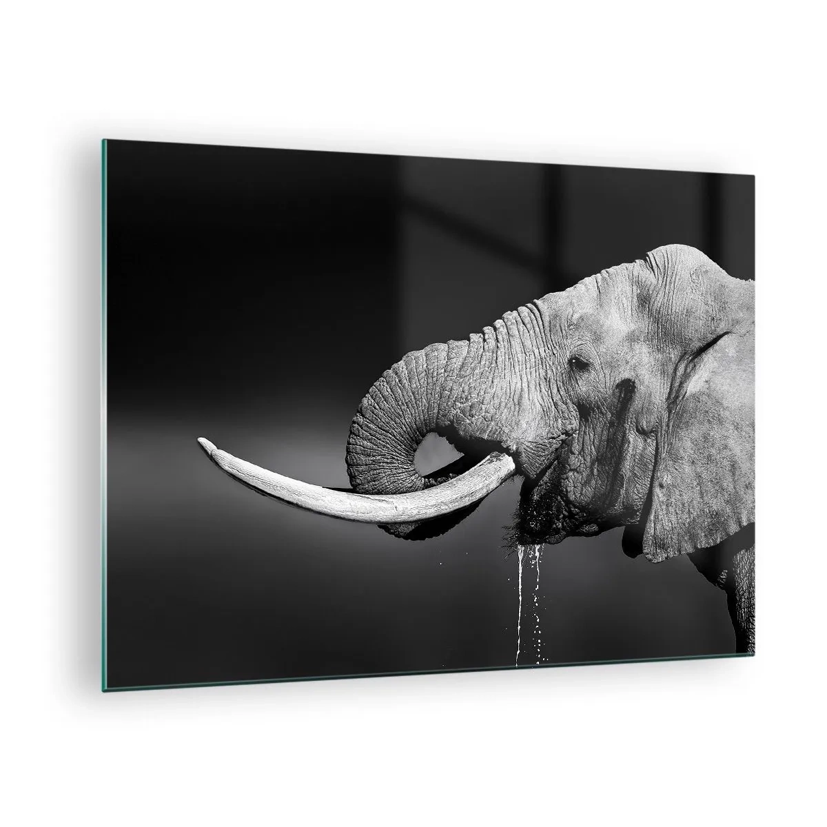 Schilderen op glas - Zwart-witportret van een olifant met een slurf - 70x50cm - Ja, goed nu - Moderne wanddecoratie voor woonkamer en slaapkamer ARTTOR
