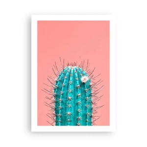 Poster - Kijk gewoon - 50x70 cm