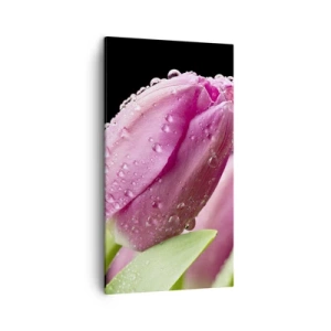 Schilderen op canvas - Lila droom in dauw - 45x80 cm