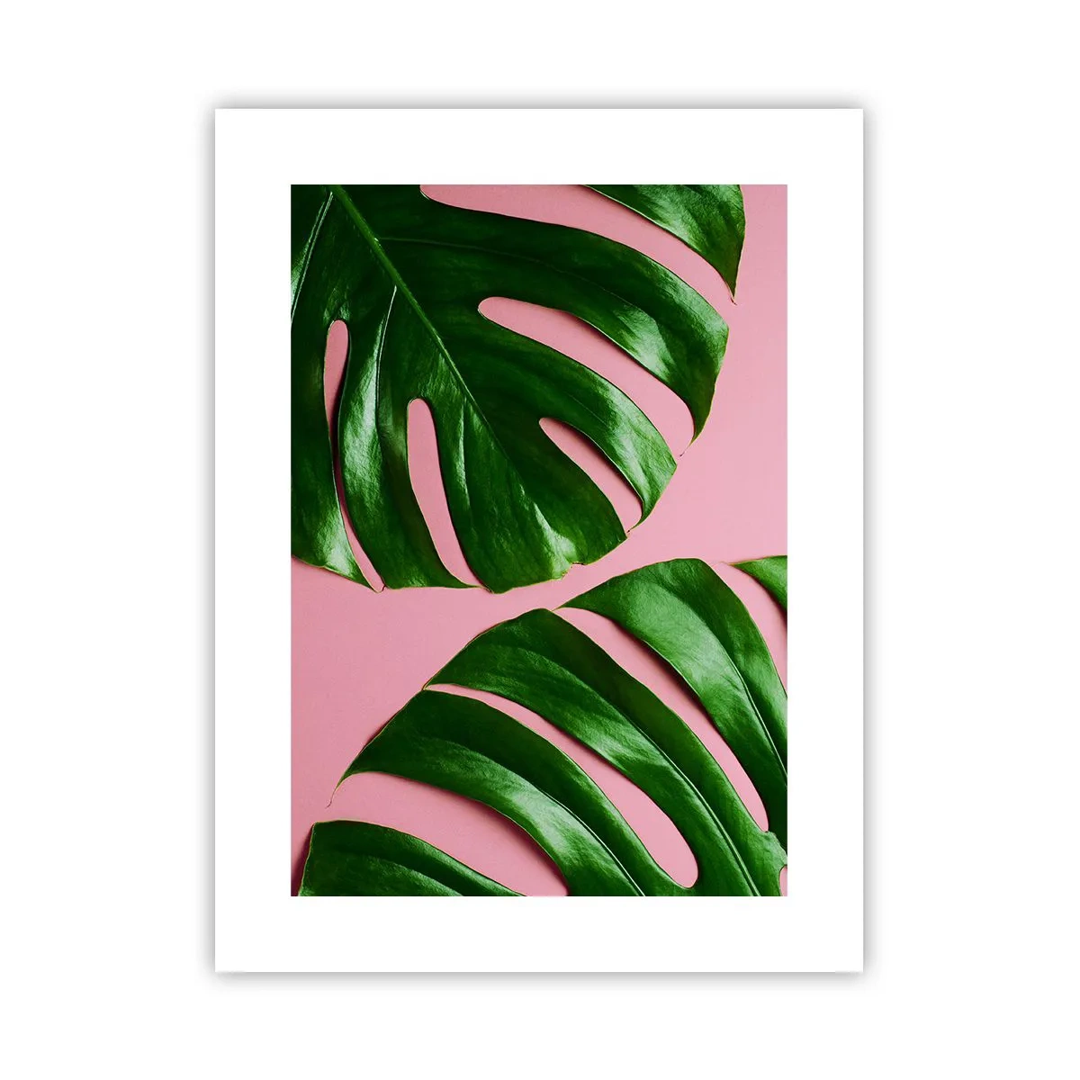Poster - Groene rendez-vous - 30x40 cm
