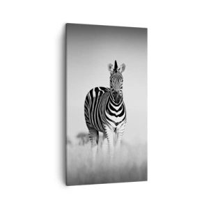 Schilderen op canvas - Toch is de wereld zwart-wit - 45x80 cm