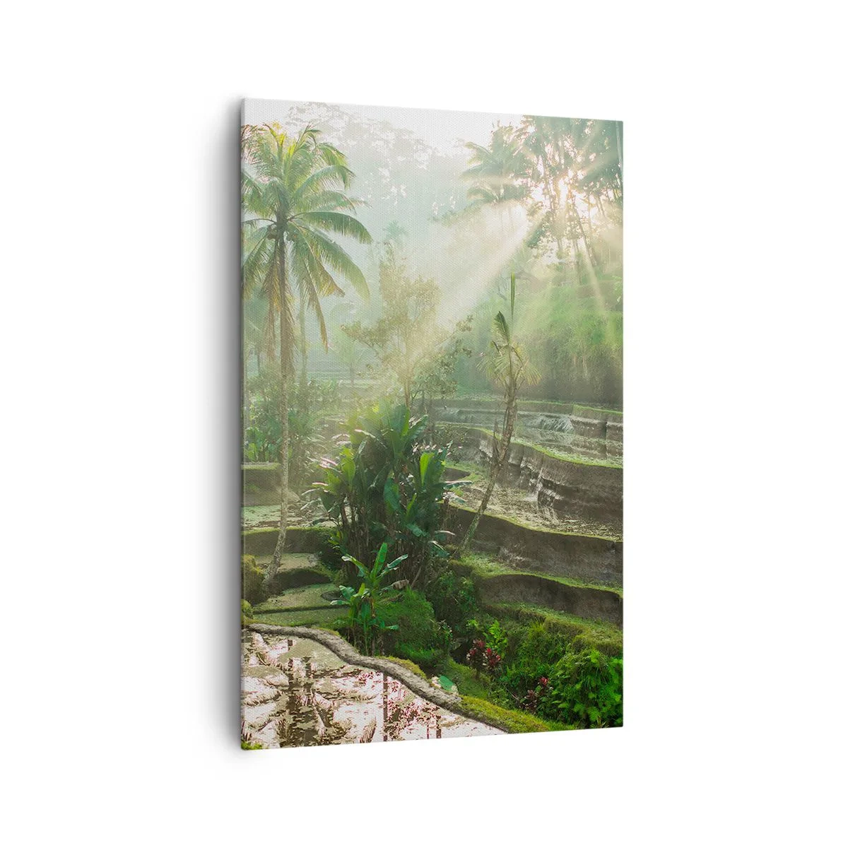 Schilderen op canvas - Opgroeien in de zon - 80x120 cm