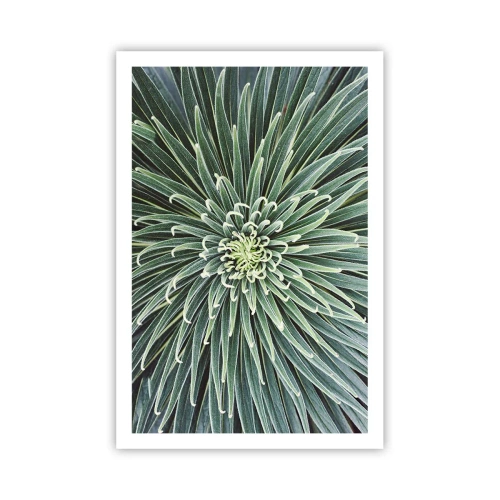 Poster - Een ster is geboren - 61x91 cm