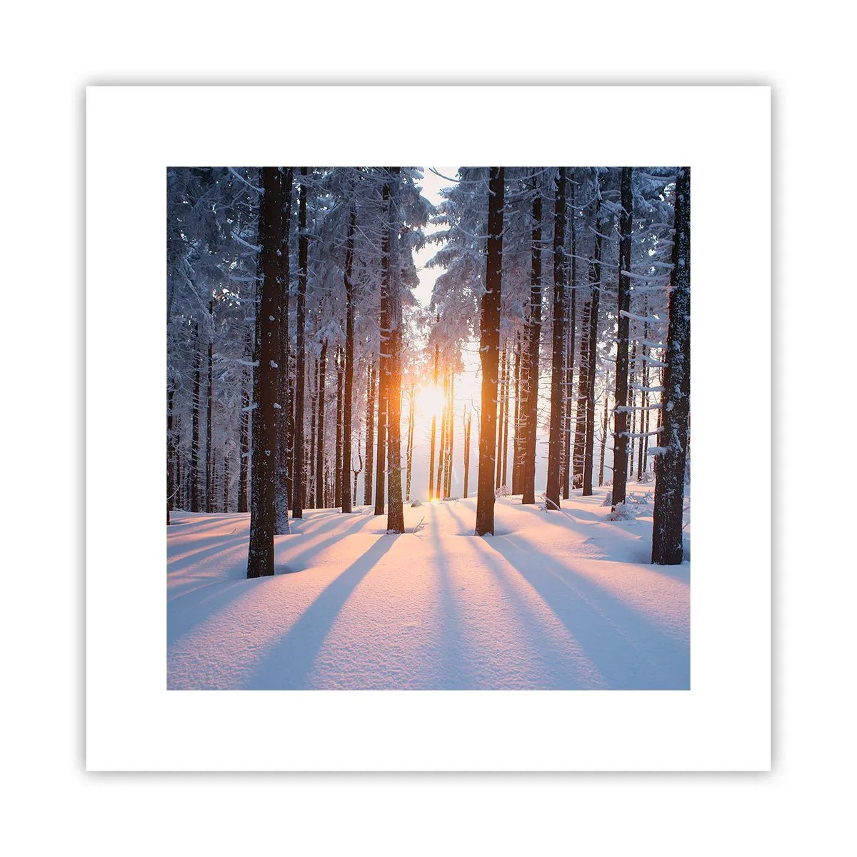 Poster - Duidelijk in zwart-wit - 30x30 cm