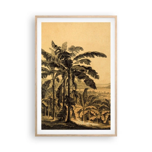 Een poster in een licht eiken lijst - in een koloniaal klimaat - 61x91 cm