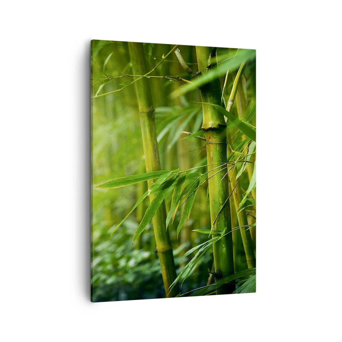 Schilderen op canvas - Maak kennis met groen zelf - 50x70 cm