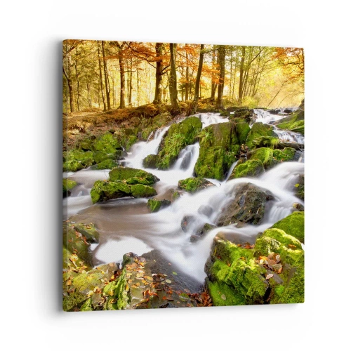 Schilderen op canvas - Snel door het herfstbos - 40x40 cm