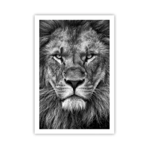 Poster - In een kroningskleed - 61x91 cm