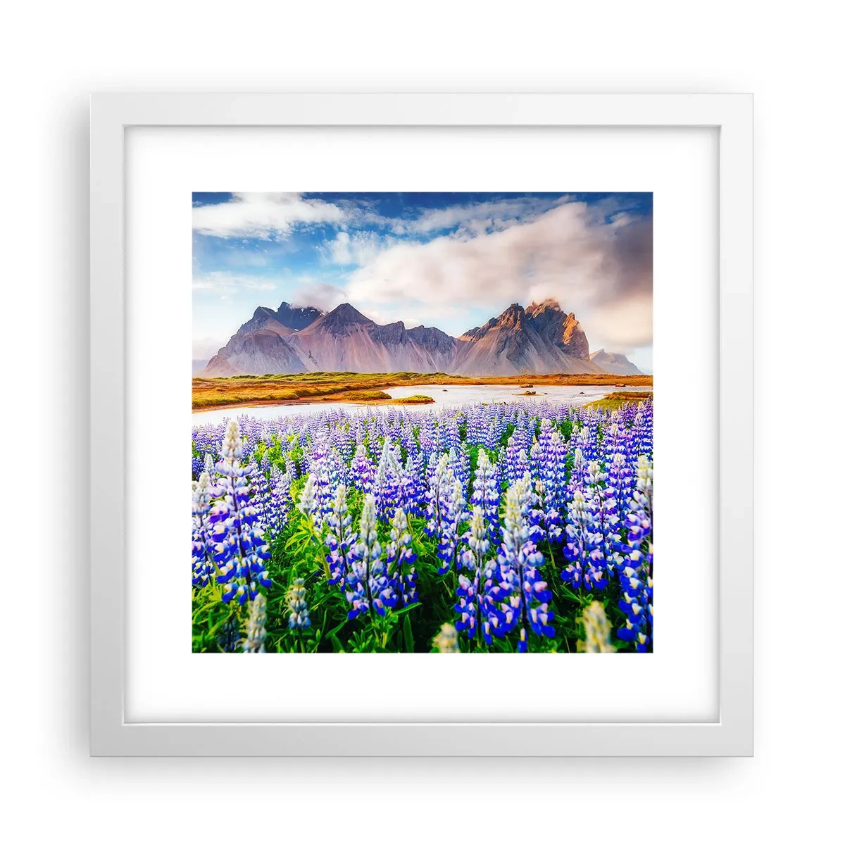 Poster in een witte lijst - Kracht en soberheid naast zachtheid - 30x30 cm