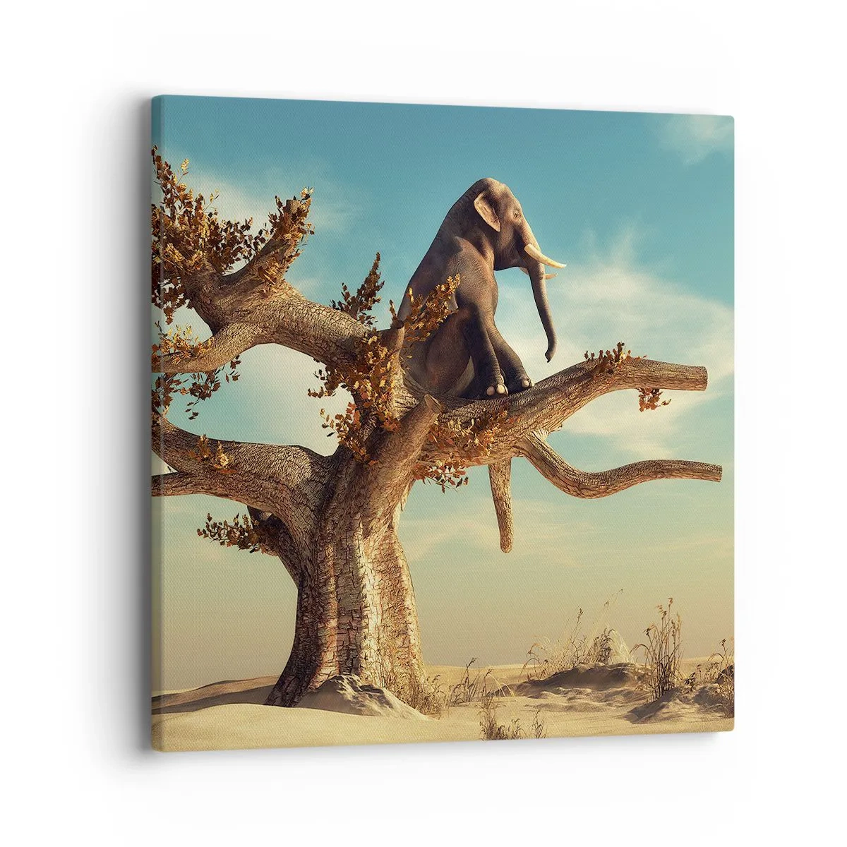 Schilderen op canvas - Een nieuw gezichtspunt - 40x40 cm