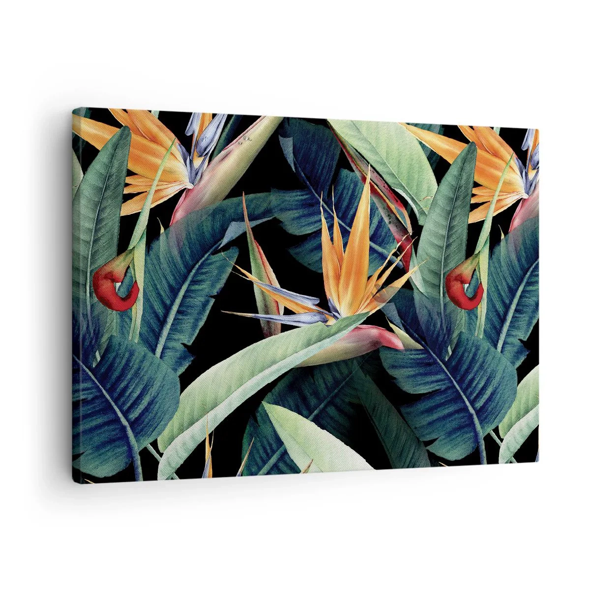 Schilderen op canvas - Vlammende bloemen van de tropen - 70x50 cm