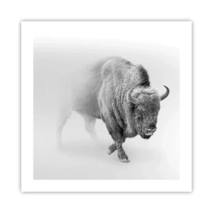 Poster - Koning van de prairie - 50x50 cm