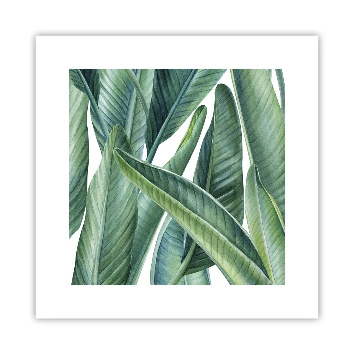 Poster - Groen zelf - 30x30 cm