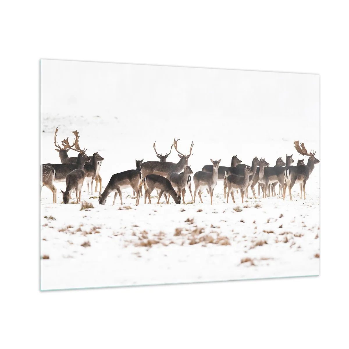Schilderen op glas - De kerst komt eraan? - 100x70 cm