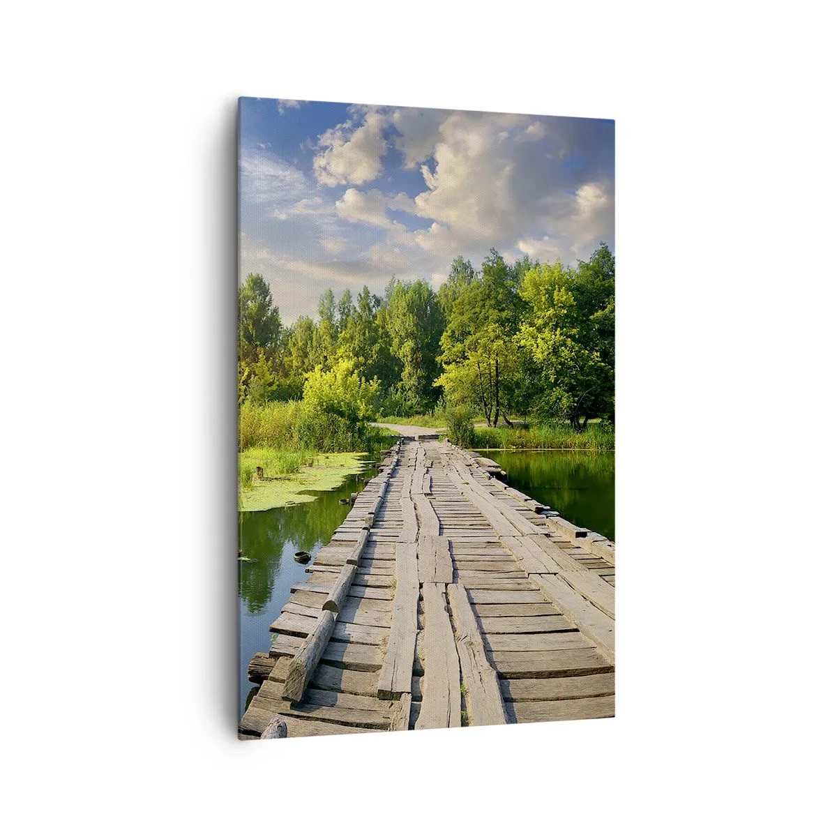 Schilderen op canvas - Zomer, zomer overal - 80x120 cm