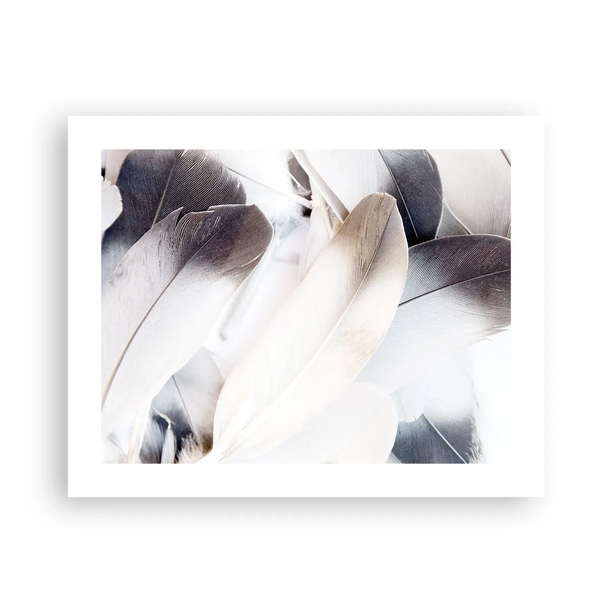 Poster - Bijna engelachtig - 50x40 cm