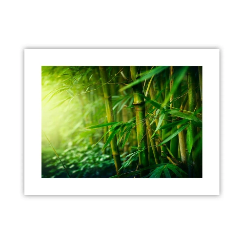 Poster - Maak kennis met groen zelf - 40x30 cm
