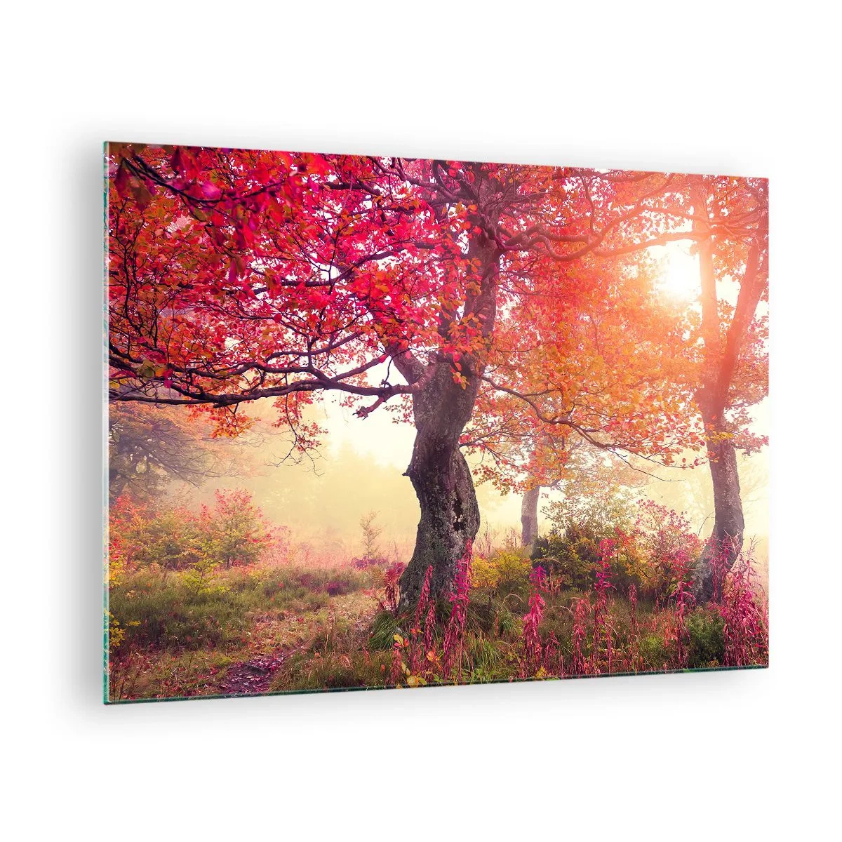 Schilderen op glas - Herfstbos met zonnestralen in de ochtend - 70x50cm - Bloeiende razernij - Moderne wanddecoratie voor woonkamer en slaapkamer ARTTOR