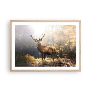 Een poster in een licht eiken lijst - In volle majesteit - 70x50 cm