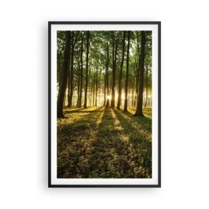 Poster in een zwarte lijst - Foto van de hele lente - 61x91 cm