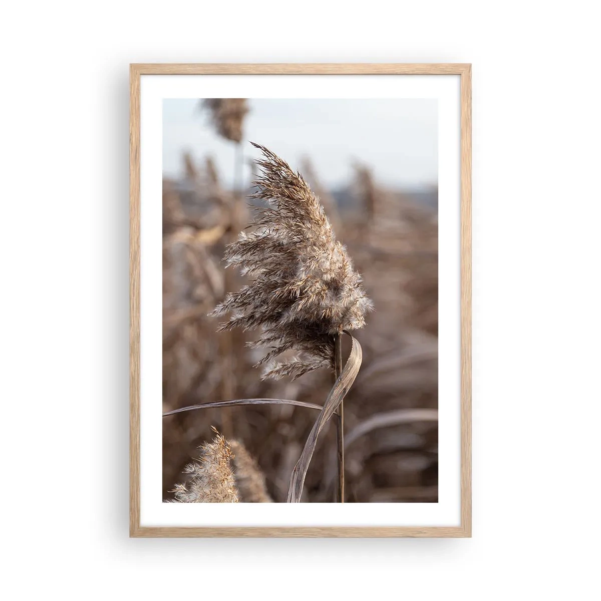 Een poster in een licht eiken lijst - Tijd om met de wind mee te gaan - 50x70 cm