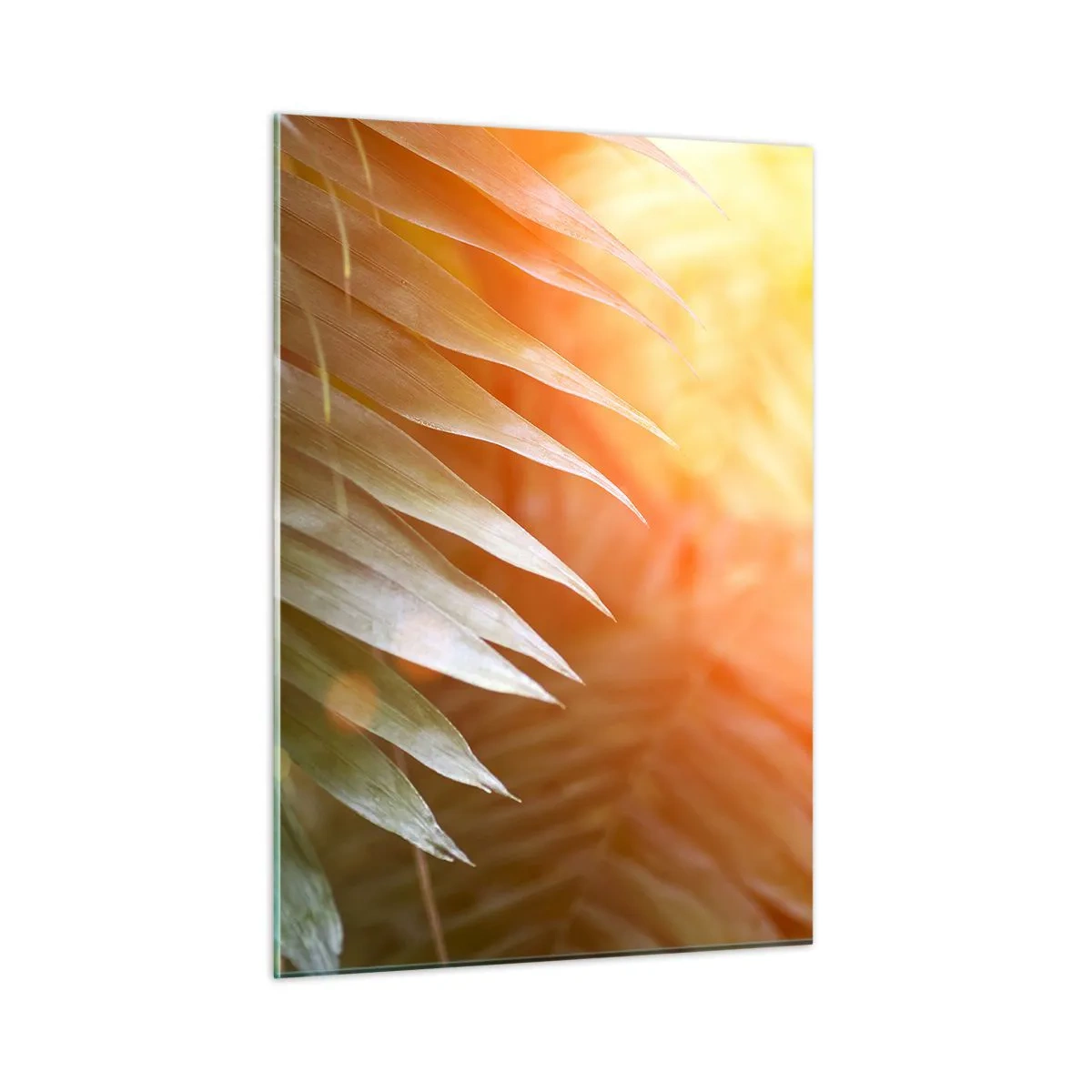 Schilderen op glas - Ochtend in de jungle - 50x70 cm