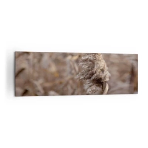 Schilderen op canvas - Tijd om met de wind mee te gaan - 160x50 cm