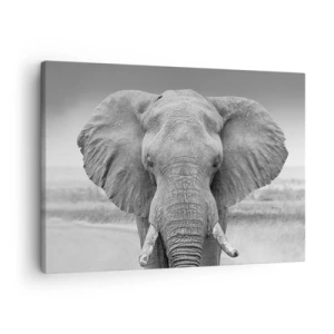 Schilderen op canvas - Portret van een olifant in zwart-wit - 70x50cm - Welkom in mijn wereld - Moderne wanddecoratie voor woonkamer en slaapkamer ARTTOR