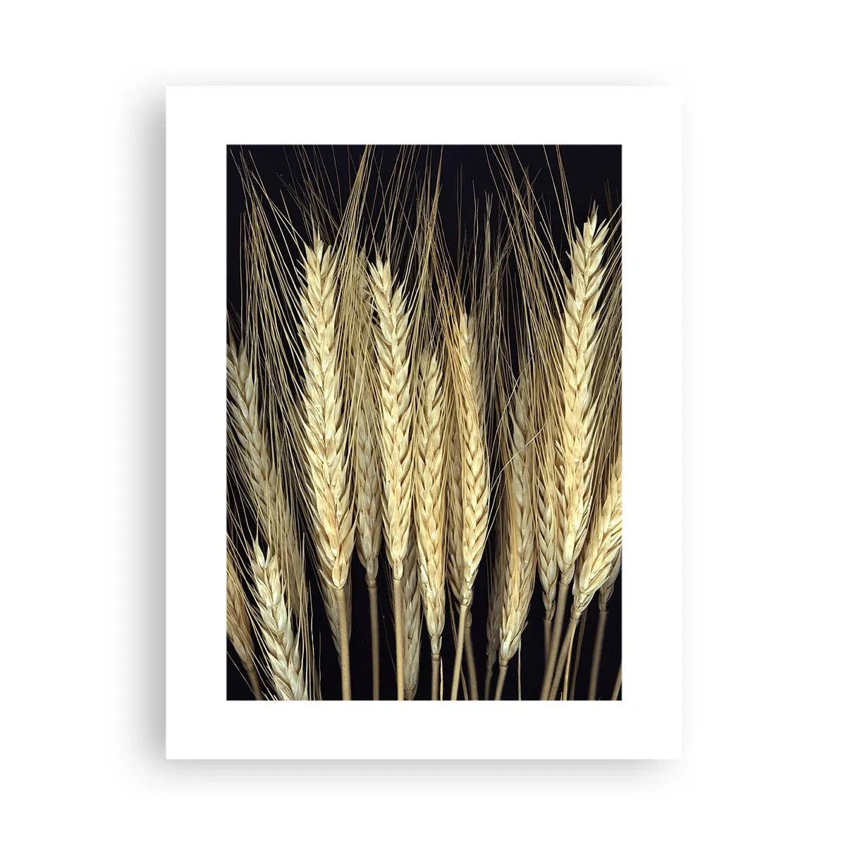 Poster - Rustieke magie - 30x40 cm