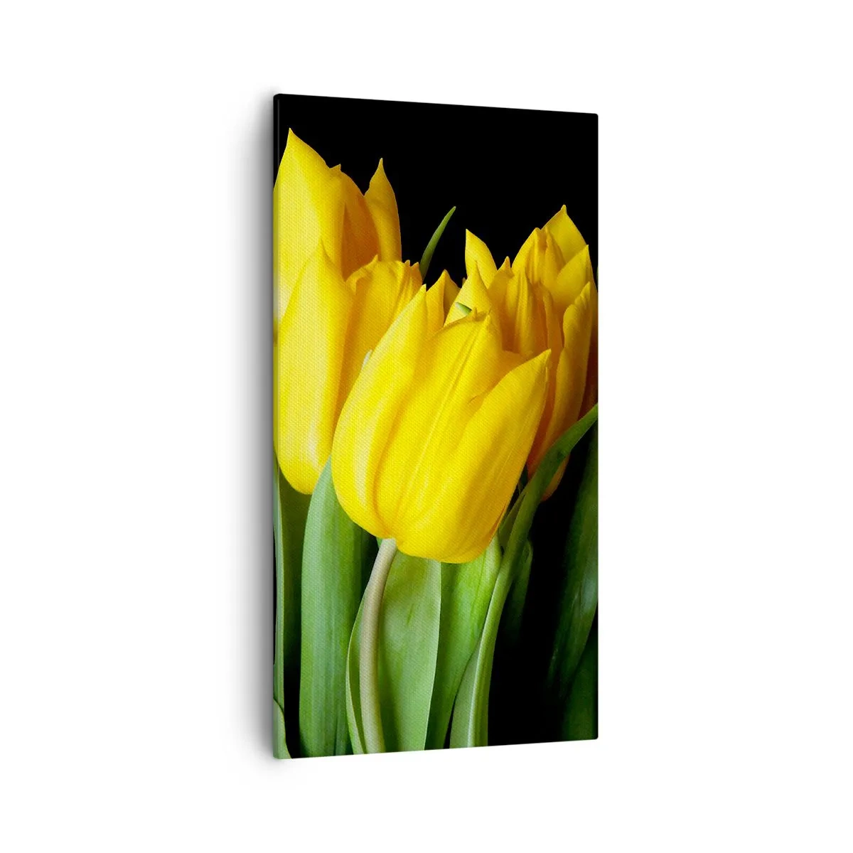 Schilderen op canvas - Gemaakt van heldere zon - 55x100 cm