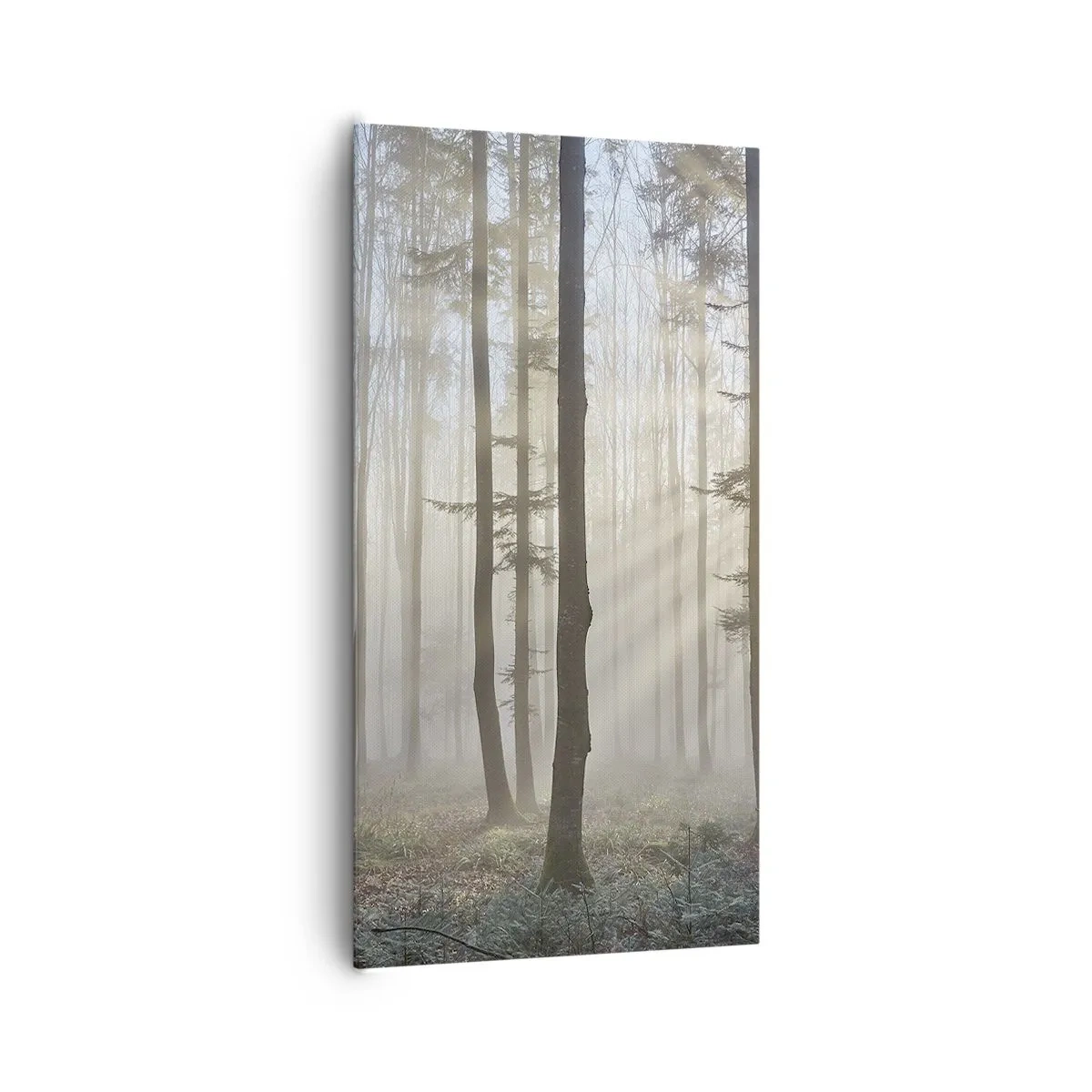 Schilderen op canvas - De mist werd ook wakker - 65x120 cm
