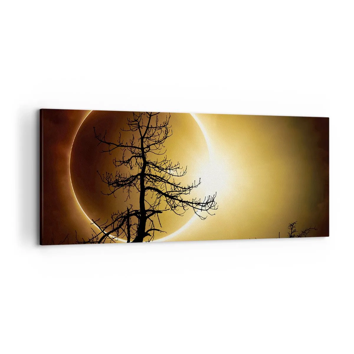 Schilderen op canvas - Totale zonsverduistering - 120x50 cm