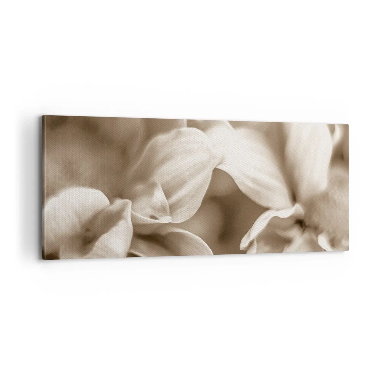 Schilderen op canvas - Zo zacht als een glimlach - 100x40 cm