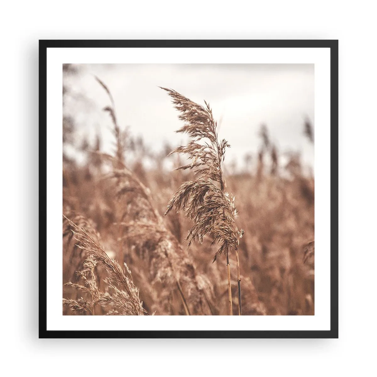 Poster in een zwarte lijst - Het is al herfst in de velden - 60x60 cm