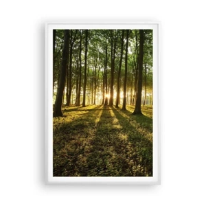 Poster in een witte lijst - Foto van de hele lente - 70x100 cm