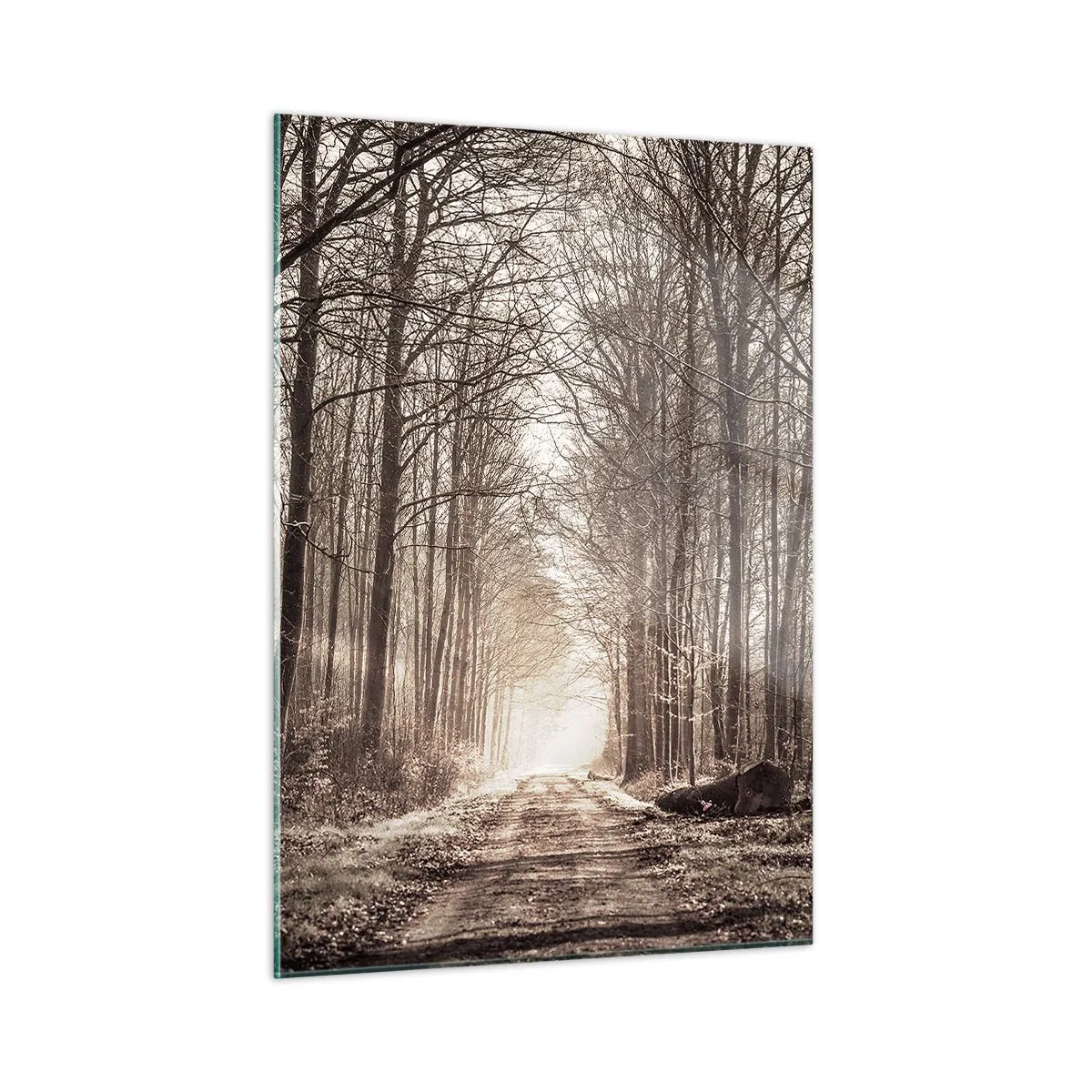 Schilderen op glas - Boskathedraal - 50x70 cm