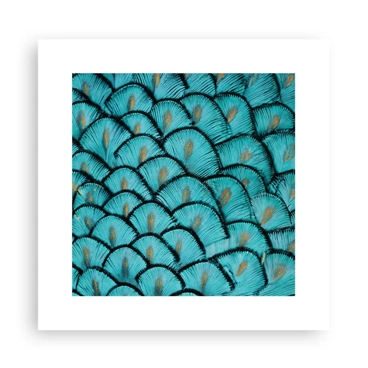 Poster - Het grote verengala - 30x30 cm