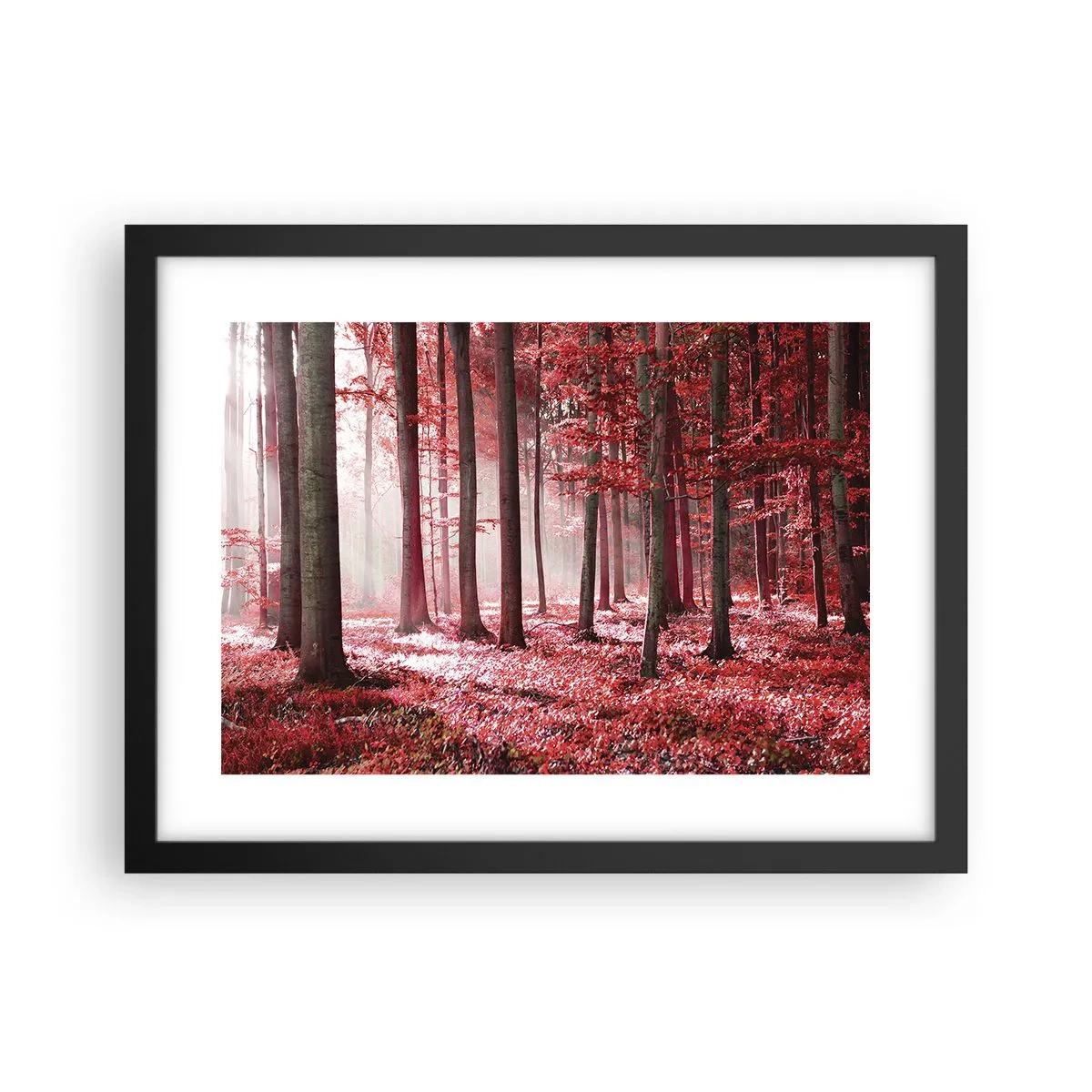 Poster in een zwarte lijst - Rood is net zo mooi - 40x30 cm