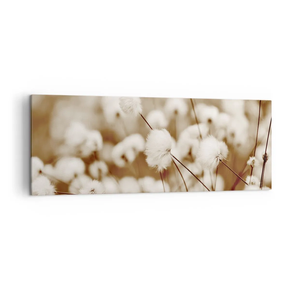 Schilderen op canvas - Pluizig korenveld - 140x50 cm