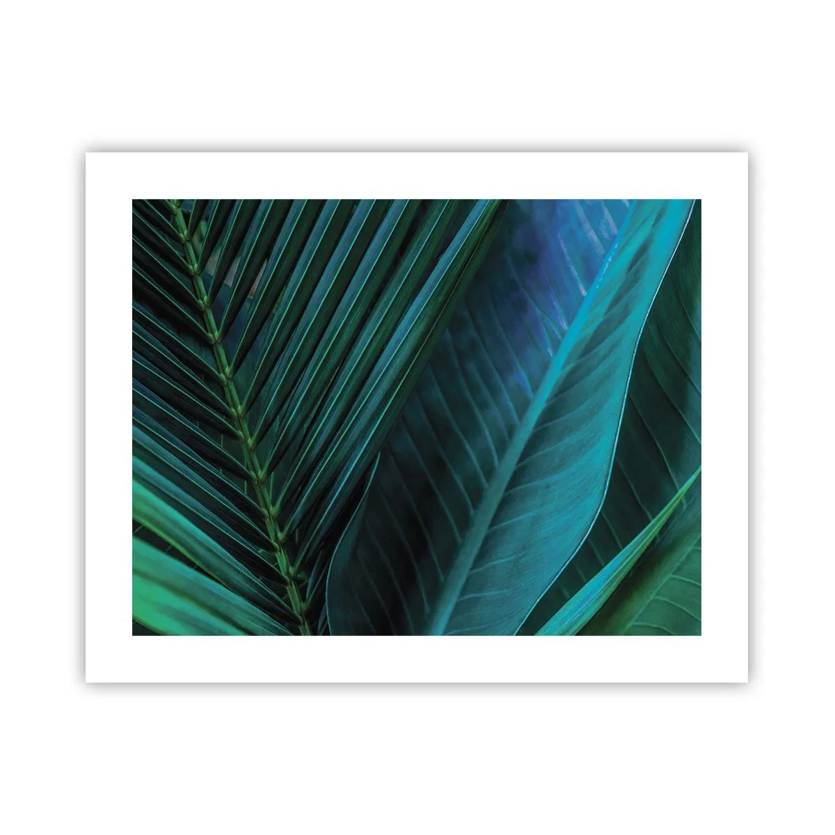 Poster - De anatomie van groen - 50x40 cm